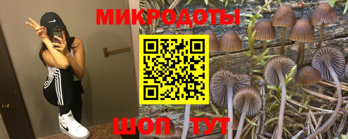 Галлюциногенные грибы MAGIC MUSHROOMS  Вход с VPN  Псилоцибиновые грибы ЛСД  Богородицк 