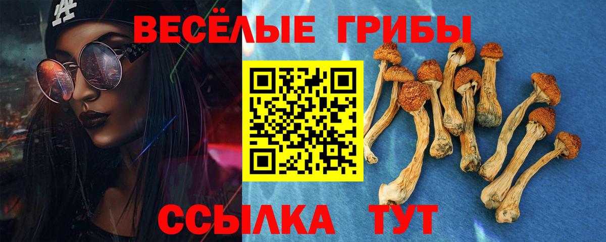 Псилоцибиновые грибы ЛСД Богородицк
